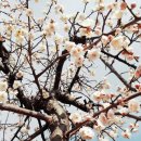 현종농장 이미지