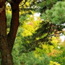 블루벤치 이미지