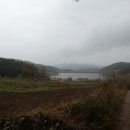 회귀-모정 이미지