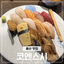 기분스시 | 울산 옥동 맛집 코엔스시 울산 초밥 제대로 즐긴 특선 스시 후기