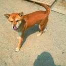 순이하우스 이미지