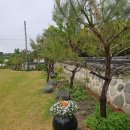 논산애견 이미지