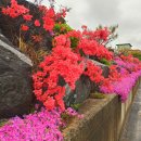 옥천 해뜨는집 가든 이미지