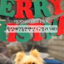 구방리518 이미지