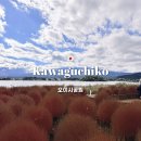 우리대형카정비 | 🇯🇵.시즈오카 3박4일 렌트카 여행 카와구치코 호수 오이시공원