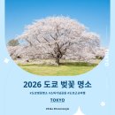 물의정원(양귀비식재)[송촌-4] | 2026 도쿄 벚꽃 명소 쇼와기념공원 플라워 페스티벌 일정 가는 법