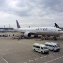 United Airlines 2 이미지