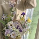 클로리스플라워 - 서대문구 통일로 366 | 클로리스플라워