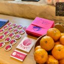 무릉초등학교 학생들과 해양생태감수성 교육 진행 이미지