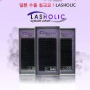 래쉬홀릭
