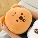 모찌와 쇼핑하우
