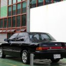 다이너스티 이미지