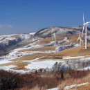 삼양목장 이미지