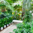 자유로 베이커리 | 파주 카페 추천 대형베이커리카페 식물원 문지리535