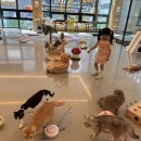 흥산에너지 | 전주 신시가지 핫플레이스 아이랑 고양이카페 굄 다녀왔어요