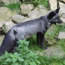 유순농장 이미지