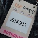 냥냥키티 | [마곡] 제1회 2025 냥냥펀치 캣쇼 in 마곡 후기