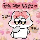 치항병원 | [안산 치항병원] 후기