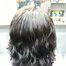 최가 미장 이미지