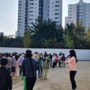 양구초등학교 이미지