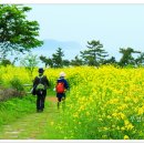 하화도 꽃섬길 이미지