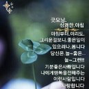 153농장 Daum카페