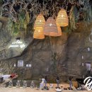 보타닉아덴1 이미지