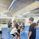 구로주짓수&MMA, 레슬링 | 🤼‍♂️ [세미나 후기] 밀양 TEAM GJ 주짓수 체육관 레슬링 더블렉 테이크다운 특강