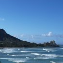 카할라 | 하와이 호놀룰루 7박 8일 태교여행 후기 Part 2 : 카할라리조트, 하나우마베이, 호놀룰루미술관, 돌고래...