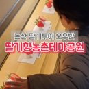 또로롱딸기농장 이미지