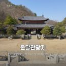 바보주막 | 4살 아이랑 온달관광지 방문 후기 영월 단양 1박 2일 여행