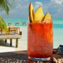 존 행정사 이미지