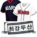 꿀팁 (티켓, 입장 방법, 좌석, 준비물, 유니폼 대여, 예매취소, 주의사항, 가격, 한여름 야구장, 기프트샵)