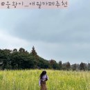 애월더문 | 사진찍기 좋은 애월더힐, 애월카페추천은 요기