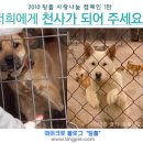 (주)데이콤멀티미디어인터넷 이미지