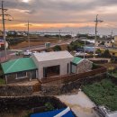 하도하도1929 이미지