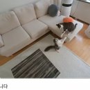 인정목장 이미지