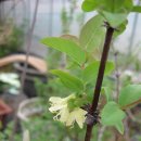 와우농장 이미지