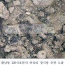 경주신발