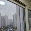 21세기동원3,4차아파트 | 일광동원로얄듀크4차입주청소 청소하는 아빠들이 뭉쳤다 본점