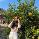 창주농장 이미지