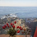 이모하여행사 이미지