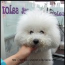 쭈니쭈니