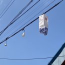 자주적관람 이미지