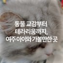 여주-1126 | 여주 주주팜 동물 농장체험 아이와 가볼만한 곳 추천