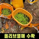 신가농장 이미지