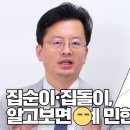 집돌이