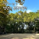 느티나무어린이공원 화장실 | 걷기 좋은 길 | 유아숲체험원이 있는 동대문구 청량리 홍릉근린공원 방문 후기 (+ 유아숲체험원 간략 소개)