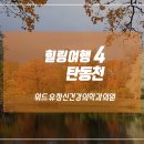 위드정신건강의학과의원 이미지