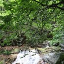 청학축산 이미지